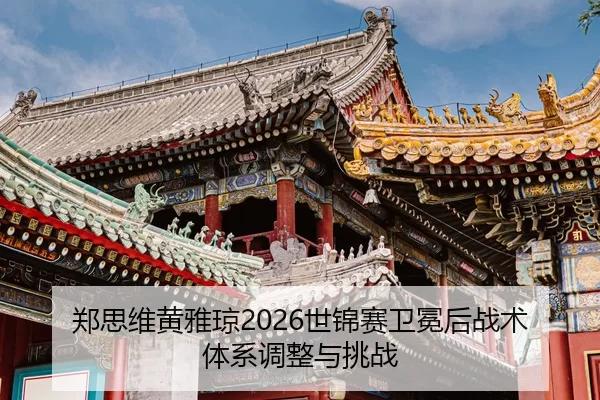 zheng-si-wei-huang-ya-qiong-shi-jin-sai-wei-mian-hou-zhan-shu-ti-xi-tiao-zheng-yu-tiao-zhan-3-222.jpg